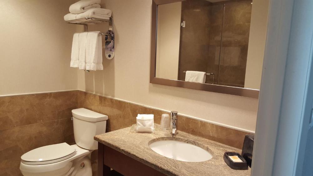 Deluxe King Room interior